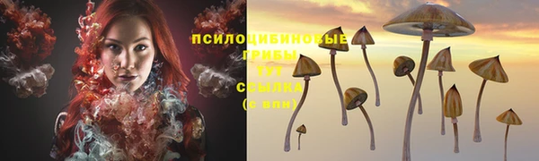 бутират Баксан