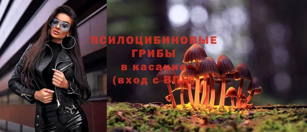 спиды Балахна