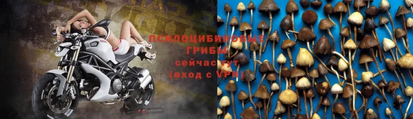 дурь Балабаново